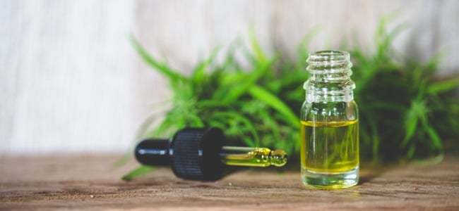 Study Shows CBD Helps the Mind by Improving Blood Flow