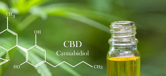 How long does cbd take to work?