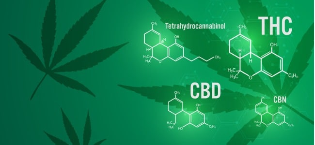 Is medical marijuana with thc better than cbd?